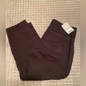 Everlane Utility Barrell Pant